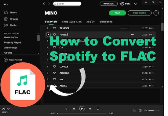 spotify to flac