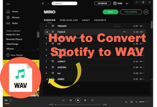 spotify to wav