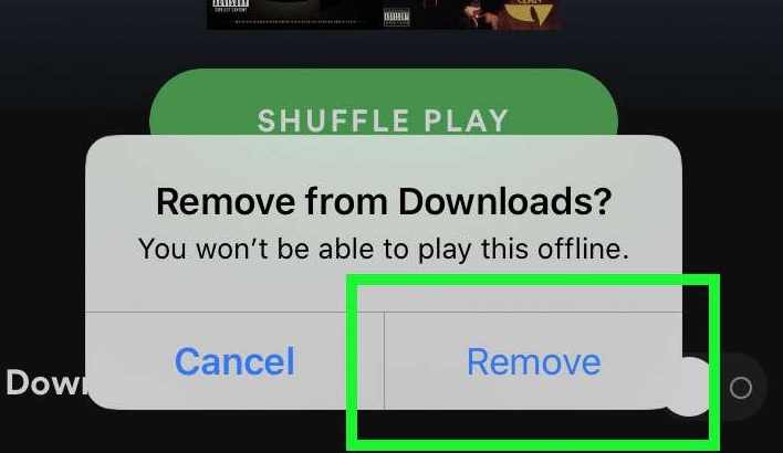 remove spotify songs