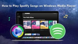 Import Playlist to Windows Media Player from Spotify: Solved