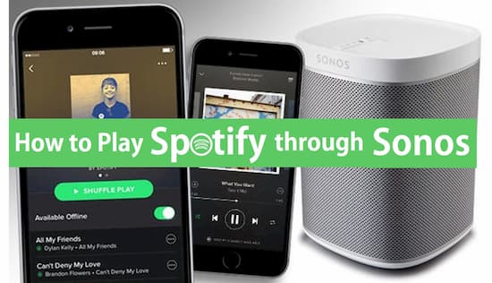 Trafik Horn Lover og forskrifter Play Spotify Through Sonos Speaker? Completely Solved!