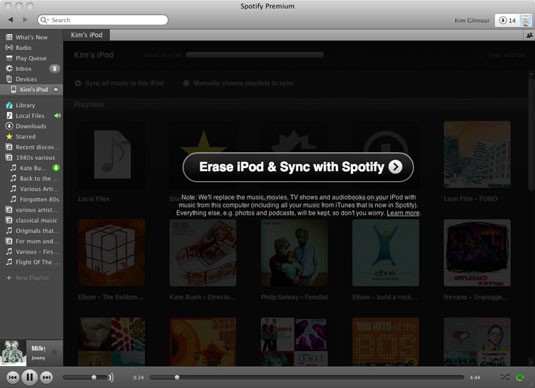 erase your ipod
