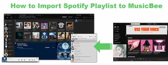 spotify playlist to musicbee