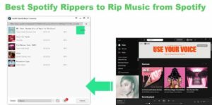 spotify rip online