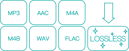 tidal music converter