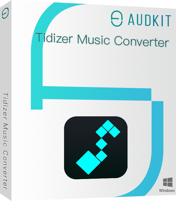 tidizer music converter