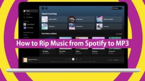 Top Spotify Ripper - Help You Rip Music from Spotify to MP3
