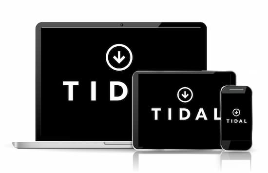 how to download songs from tidal onto computer