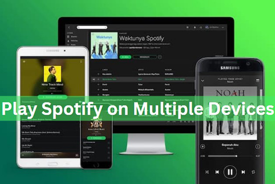 Top 7 Ways to Fix Spotify Keeps Logging You Out