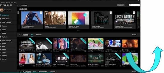 export tidal playlist
