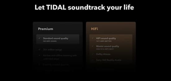 tidal family plan