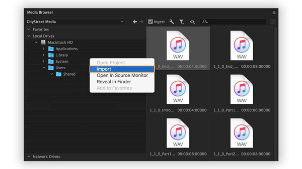 how to import music from spotify to premiere pro