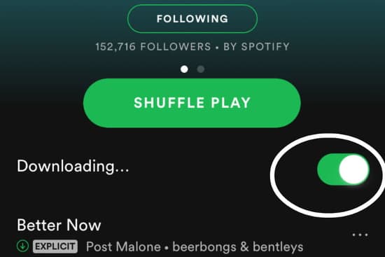 download music from spotify to phone