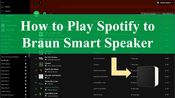 spotify to braun