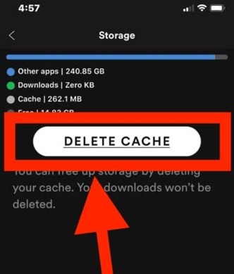 delete cache on spotify