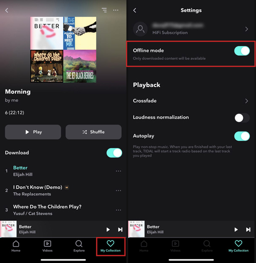where does tidal store offline music iphone