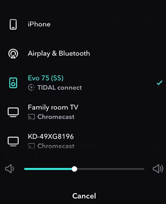 play tidal on roku by airplay
