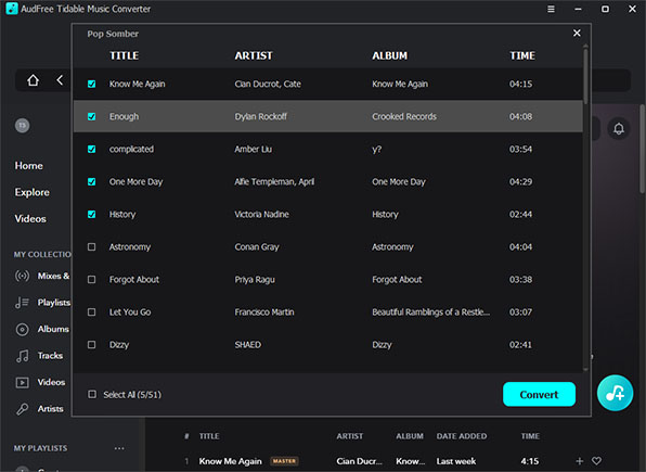 add tidal music to audfree