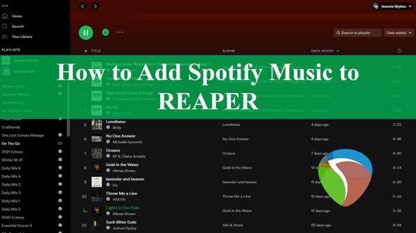 reaper spotify