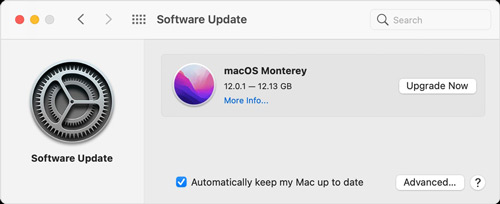 update macos to fix spotify not working on mac