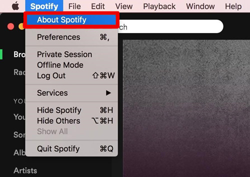 update and solve spotify can't play this right now mac