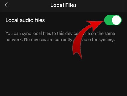 add wav files to spotify mobile