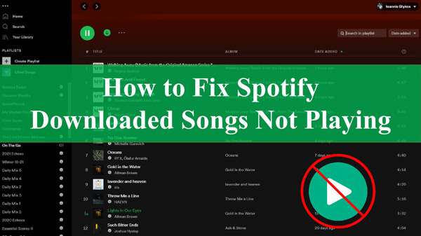 Spotify Not Playing Downloaded Songs? 12 Solutions!