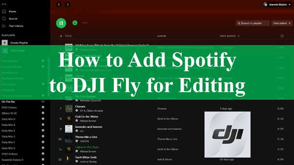 add spotify to dji fly
