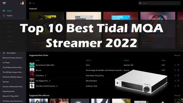 tidal streamer