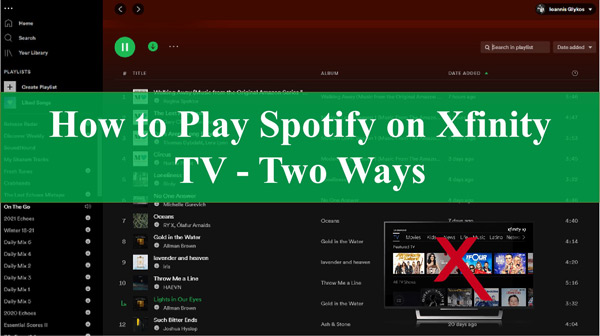 2 Methods to Play Spotify on Toshiba TV