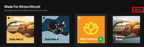 view all spotify daily mix