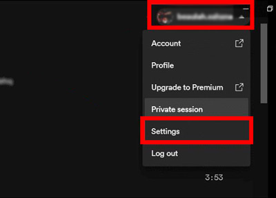 spotify settings on the desktop