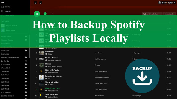 spotify backup