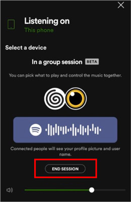 end group session on spotify