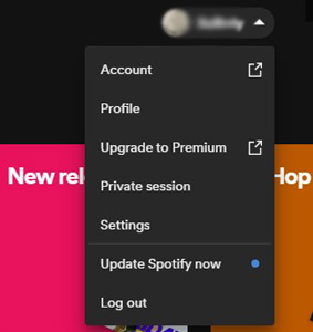 How to open Spotify Private Session - Atlas VPN