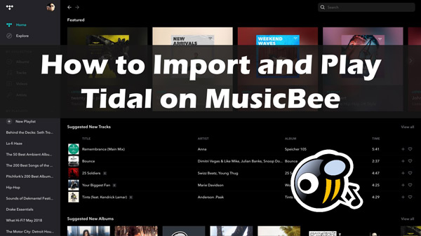 musicbee tidal
