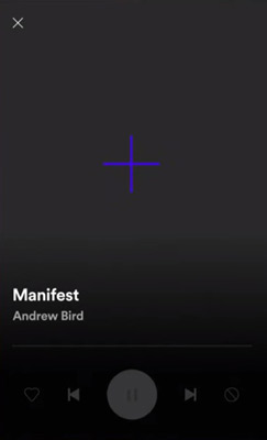 import canvas spotify on mobile