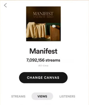 change canvas on spotify mobile