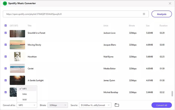 download spotify music by hitpaw spotify downloader