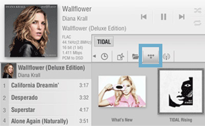 log into tidal account on lumin app