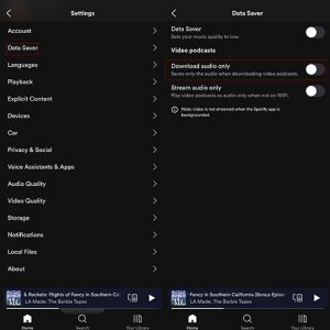 CAN YOU DOWNLOAD SPOTIFY PODCASTS TO LISTEN OFFLINE visual data 8
