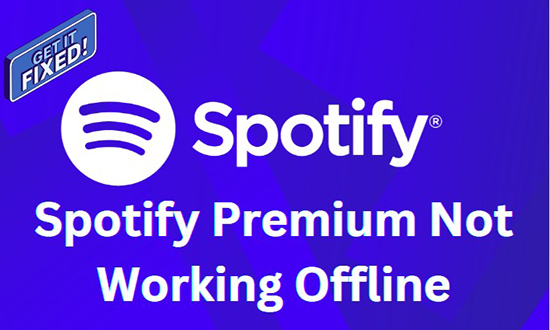 fix spotify premium not working offline