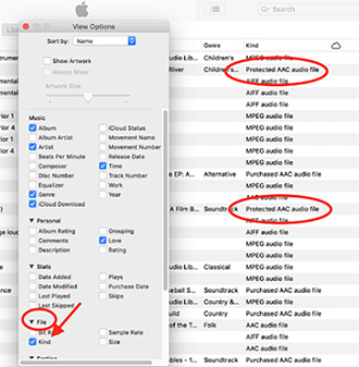 check if itunes songs are drm protected