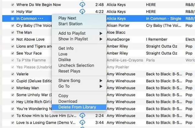 delete apple music m4p from library