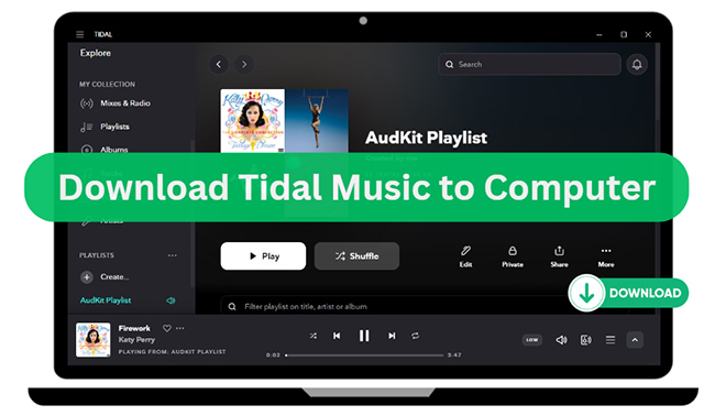 download tidal music to computer