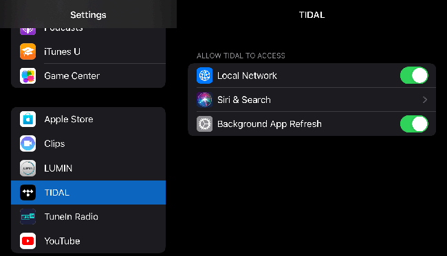 tidal allow local network